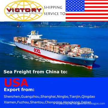FCL&LCL Shipment/Container Shipping From China to USA-Shipping